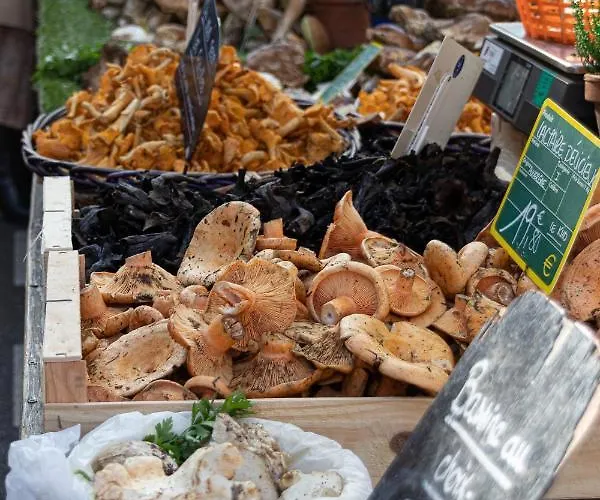 Le Pastel Jeanne D'arc *