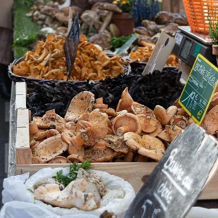 Le Pastel Jeanne D'arc *