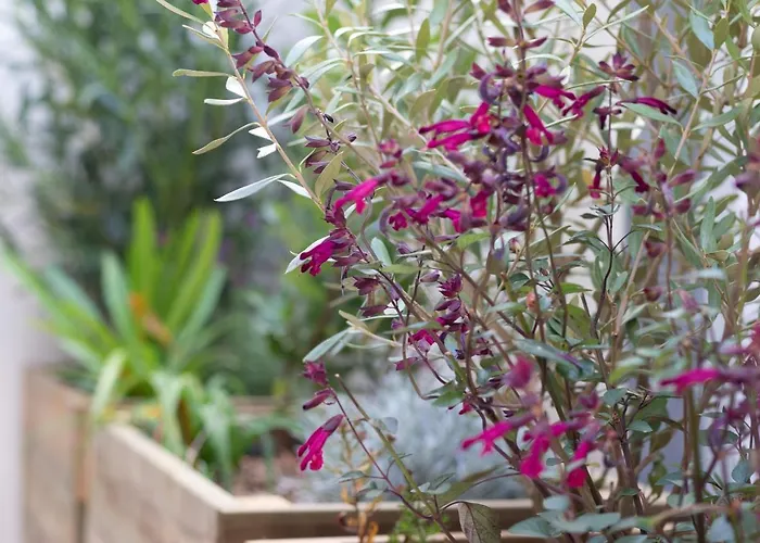 Le Pastel Jeanne D'arc アパート